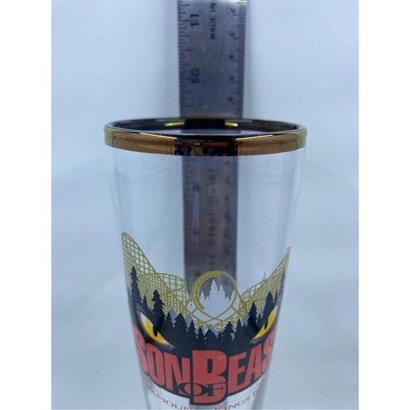 Kings Island Son of Beast Roller Coaster Amusement Park Pilsner Glass Paramount - Picture 2 of 10